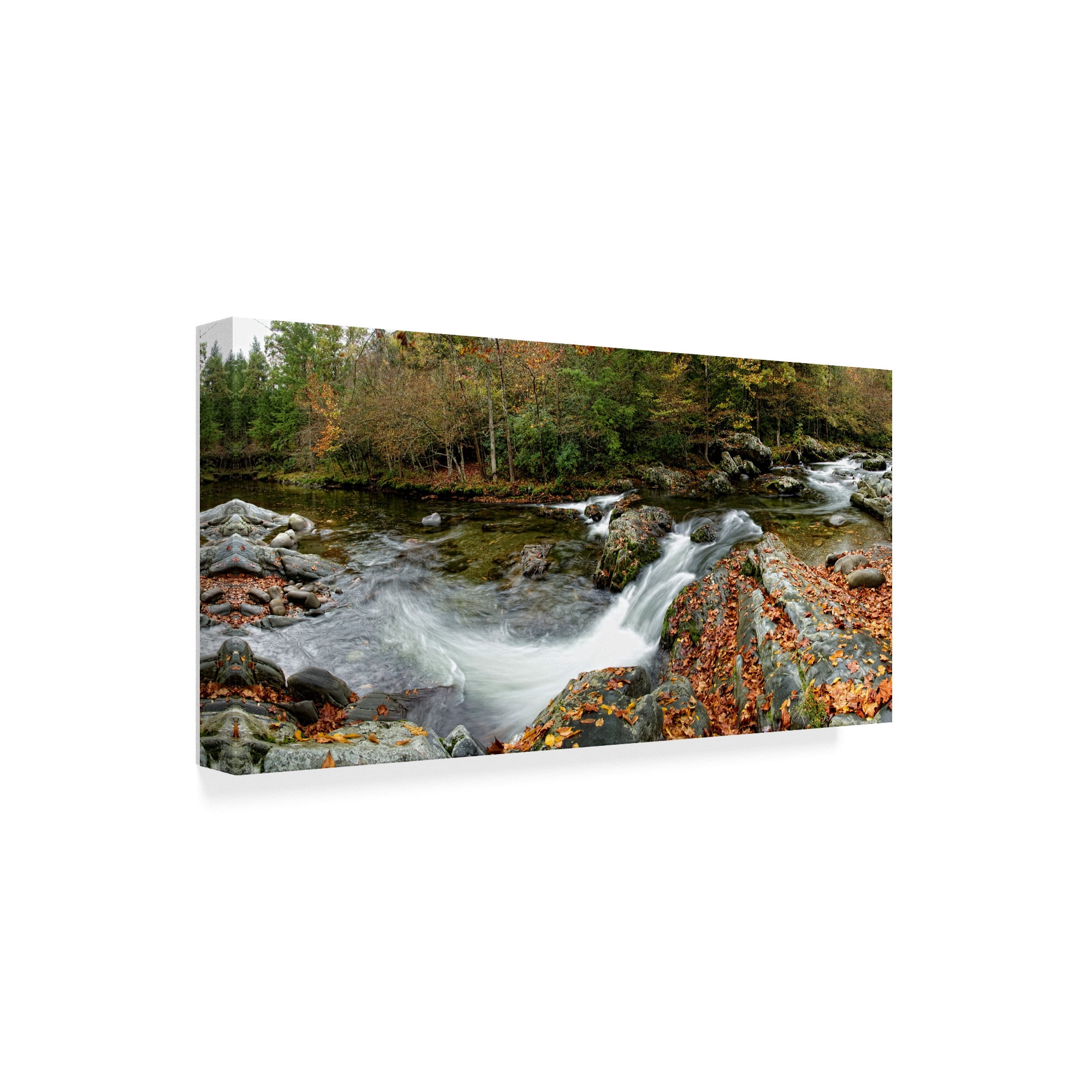 Trademark Fine Art 'River Panorama' Canvas Art by Danny Head