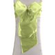 thumbnail image 1 of LA Linen Pack-10 Fajas de lazo de organza con espejo transparente 8 por 108 pulgadas, Lima LA Linen 8x108Ogz_Pk10_LimeO84, 1 of 1