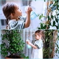 thumbnail image 2 of Lishi Glass Mini Plant Mister Spray Bottle Blue For Indoor Plants, 2 of 7