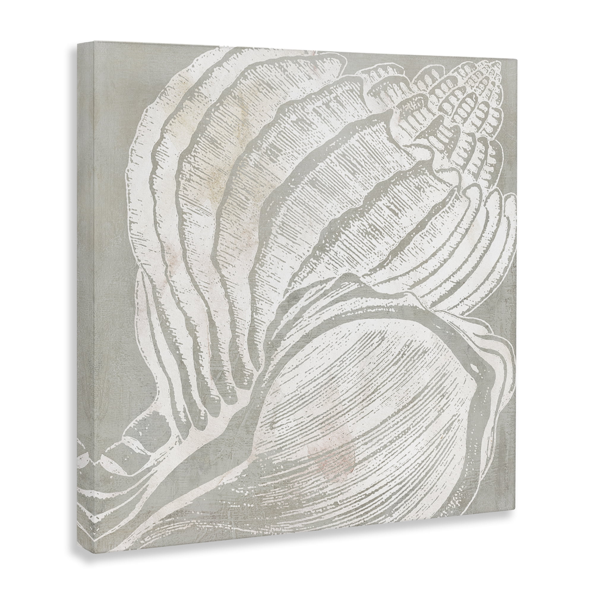 Stupell Industries Beige Conch Pattern Nautical & Beach Painting Wrapped Canvas Art Print Wall Art, 30 x 30