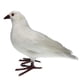 thumbnail image 4 of Figuras de esculturas de estatua de pájaros de palomas decorativas Zulema 1 de pie blanco Decoy Pigeon Artificial, 4 of 8