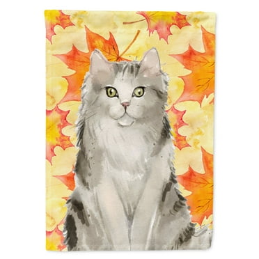 Carolines Treasures CK3081CHF Ragamuffin Fall Leaves Flag Canvas House Size  Large multicolor