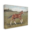 thumbnail image 3 of Horse Foal Galloping Countryside Animals & Insects Painting Gallery Wrapped Canvas Print Wall Art, 3 of 7
