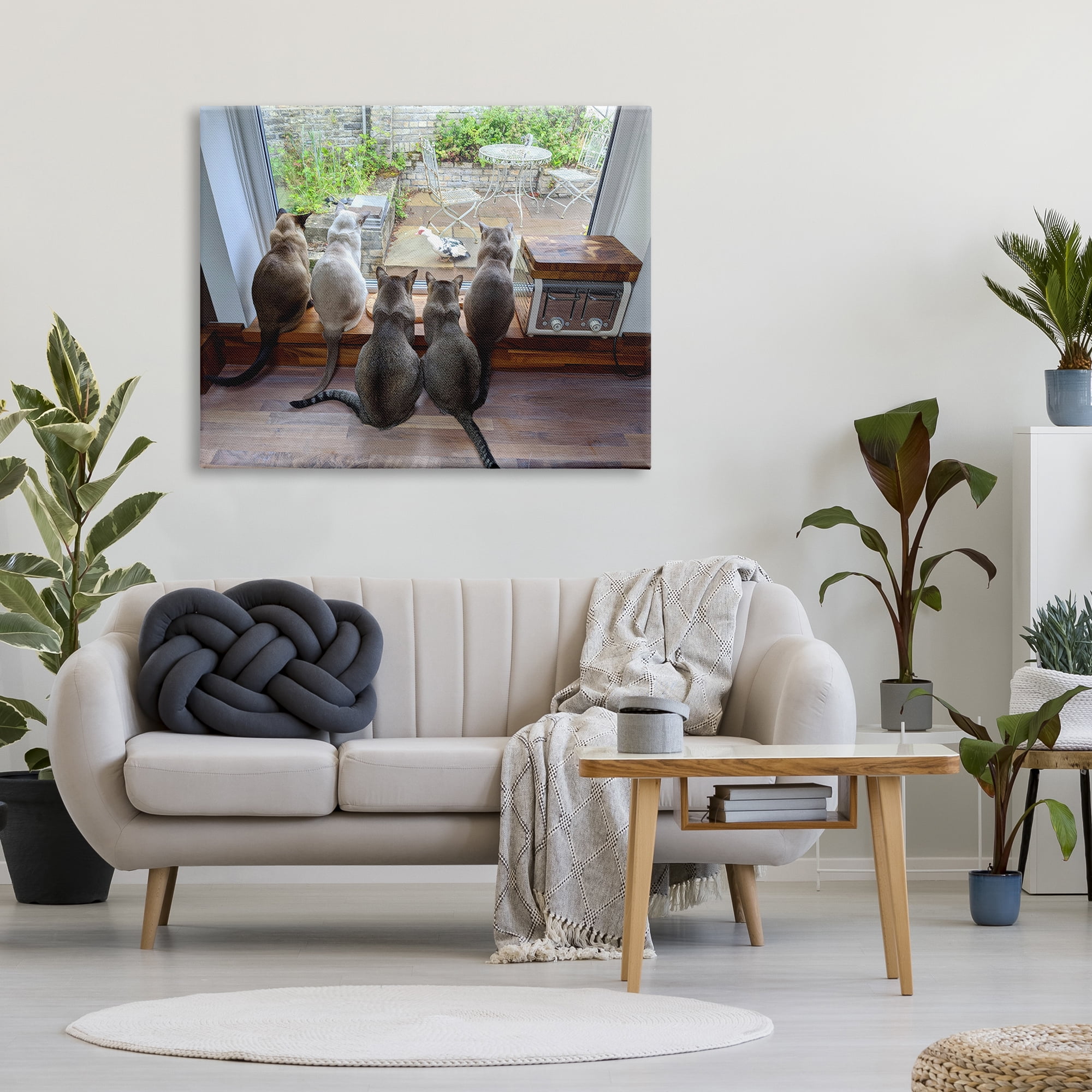 Stupell Industries Cats Watching Bird at Window Animals & Insects Photography Gallery Wrapped Canvas Art Print Wall Art, 48 x 36
