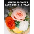 thumbnail image 2 of Rosa preservada FIACO Forever Fresh Flowers en cúpula de cristal, 2 of 6