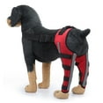 thumbnail image 1 of Rodillera para perro ajustable doble pierna trasera con soporte flexible con bisagras de metal y cinturones de seguridad reflectantes (rojo), 1 of 7