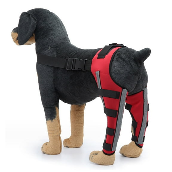 Dog Knee Brace Adjustable Dog Double Rear Leg Brace With Metal Hinged Flexible Support And Reflective Seat Belts (Red) - M