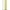 Almond, variant on US Made 9" x 48" Resin Mineral Tank for Filter or Softener with riser distributor tube included Black