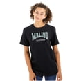 thumbnail image 3 of Athletic Varsity Malibu California Men's Graphic T Shirt Tees Brisco Brands M, 3 of 6