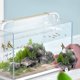 thumbnail image 4 of WEUVEB Decorativo Para Acuario Con Ventosa Material Para Peces Betta, 4 of 8