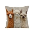 thumbnail image 3 of Naxoaeo Decorative Throw Pillow Cover, 18x18 Inch Polyester Cushion Case, Soft & Comfortable for Sofa Couch Bed Living Room, Hidden Zipper, Machine Washable, Farmhouse Home Decor, Housewarming Gift, 3 of 7