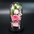 thumbnail image 4 of Caja De Regalo Rosa Con Cubierta De Vidrio Regalo De Luz Led Para El Aniversario Del Día De San Valentín Eigraketly HA025094-02, 4 of 5