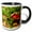 Black/White, variant on 3drose, Michigan, Boletus Frostii Mushroom Fungi - Us23 Bja0104 - Jaynes Gallery, 11oz Magic Transforming Mug