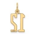 thumbnail image 3 of Finest Gold 14K Small Elongated Number 12 Charm, 3 of 4