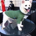 thumbnail image 6 of Dog clothes New style t-shirt Two legged clothes Wear winter pet bottoms in spring and autumn, 6 of 6