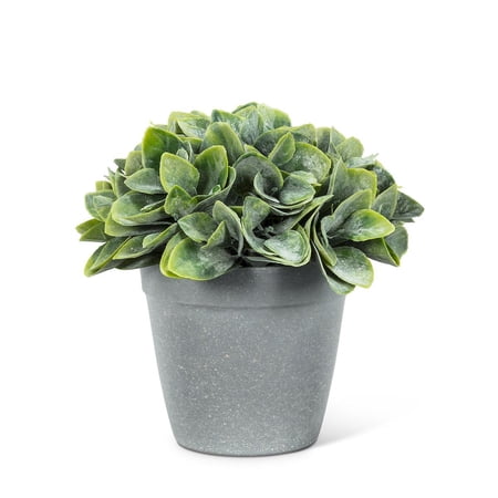 Set of 2 Spade Leaf Plant Pot