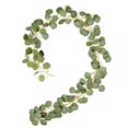 thumbnail image 4 of Guirnalda de eucalipto artificial de 1 m con hojas largas, decoración de plantas Verde, 4 of 9
