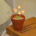 thumbnail image 4 of diy Potted Tulip Nightlight Mini Bouquet Handmade  Bag Photo Frame for Girlfriend Birthday Gift, 4 of 7