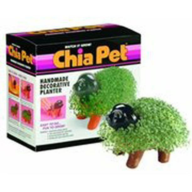 Chia Pet Puppy Handmade Decorative Pottery Planter, Easy