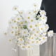 thumbnail image 4 of Flores simuladas, flor de margarita artificial, decoración de flores secas blancas, 4 of 6