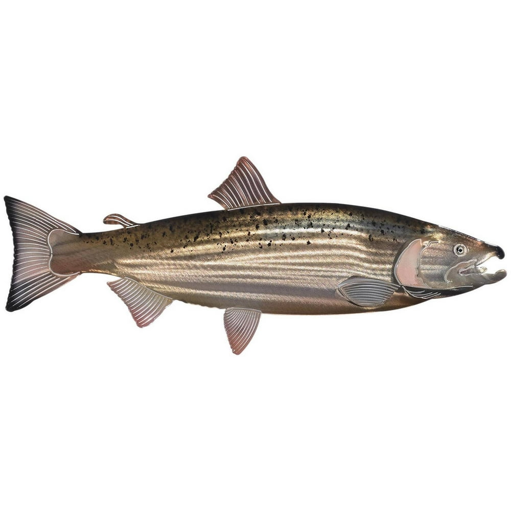 3D Large Salmon Metal Wall Art By Next Innovations - Walmart.com