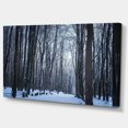 thumbnail image 2 of Thick Woods in Winter Forest - Modern Forest Canvas Art, 2 of 3