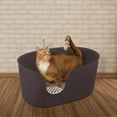 thumbnail image 4 of Richell Paw Trax High Wall Cat Litter Box XL with Scoop, Perfect for Multi Cat Households, 4 of 7