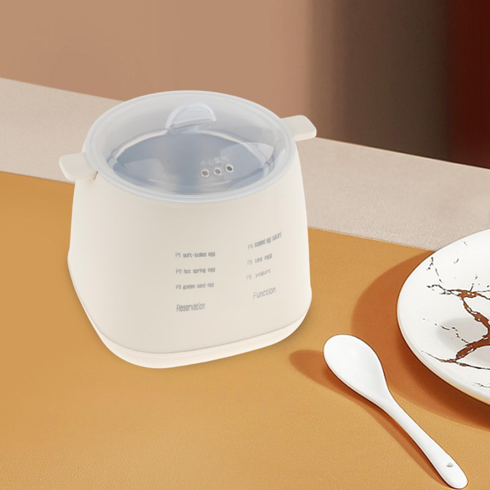 Fiocias Fast Egg Cooker Kitchen Utensil Smart Transparent Window Auto Shut Off Easy to rack with bowl