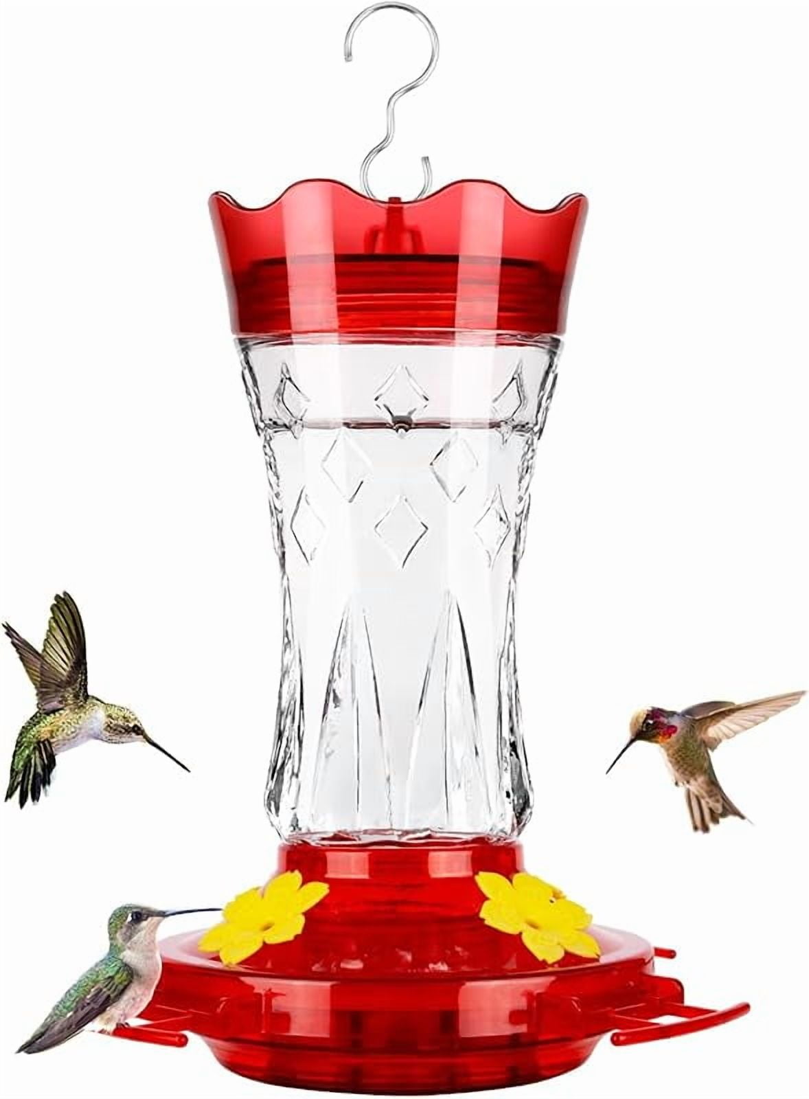 The Pioneer Woman Fresh Floral Glass Hummingbird Feeder 20 oz with