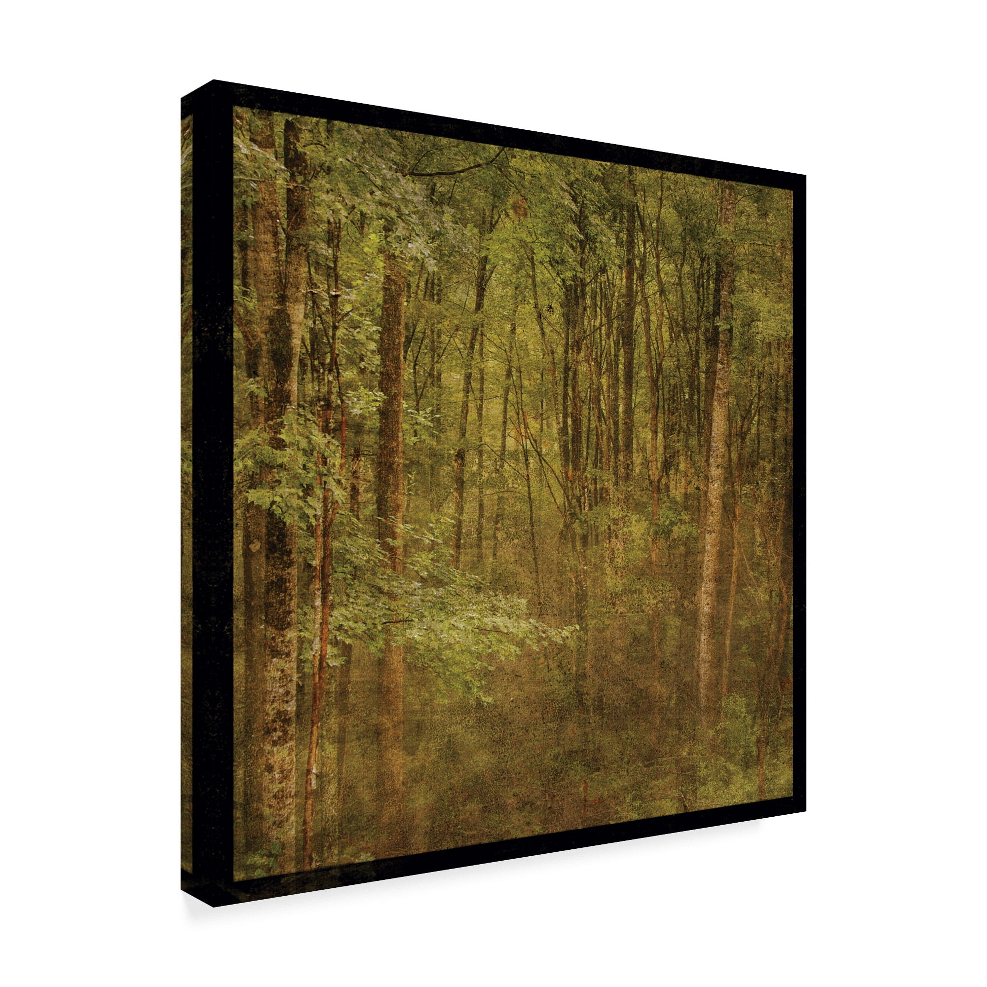 Trademark Fine Art 'Forest Trees' Canvas Art by John W. Golden