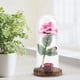 thumbnail image 5 of Flor de rosa con luz LED NikouMX Rosa preservada Regalo romántico, 5 of 8