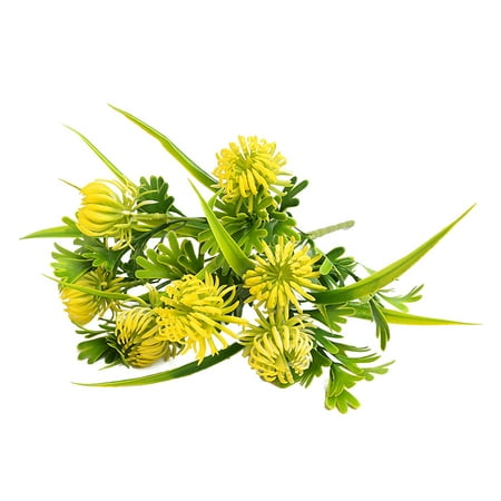 https://i5.walmartimages.com/asr/113ead8f-477c-42e0-a67e-b4ec1054a01b.0f7575d3ab6820f648dc6f864742e9e1.jpeg?odnHeight=450&odnWidth=450&odnBg=ffffff