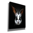 thumbnail image 2 of Epic Graffiti 'Rabbit Rocks' by Robert Farkas, Giclee Canvas Wall Art, 12"x16", 2 of 8