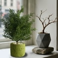 thumbnail image 4 of Black Artificial Potted Plants, Fake Indoor Greenery, Modern Office Desk Decor, Realistic Faux Bonsai, Low Maintenance Home Ornament, Decorative Small Plant, 4 of 6