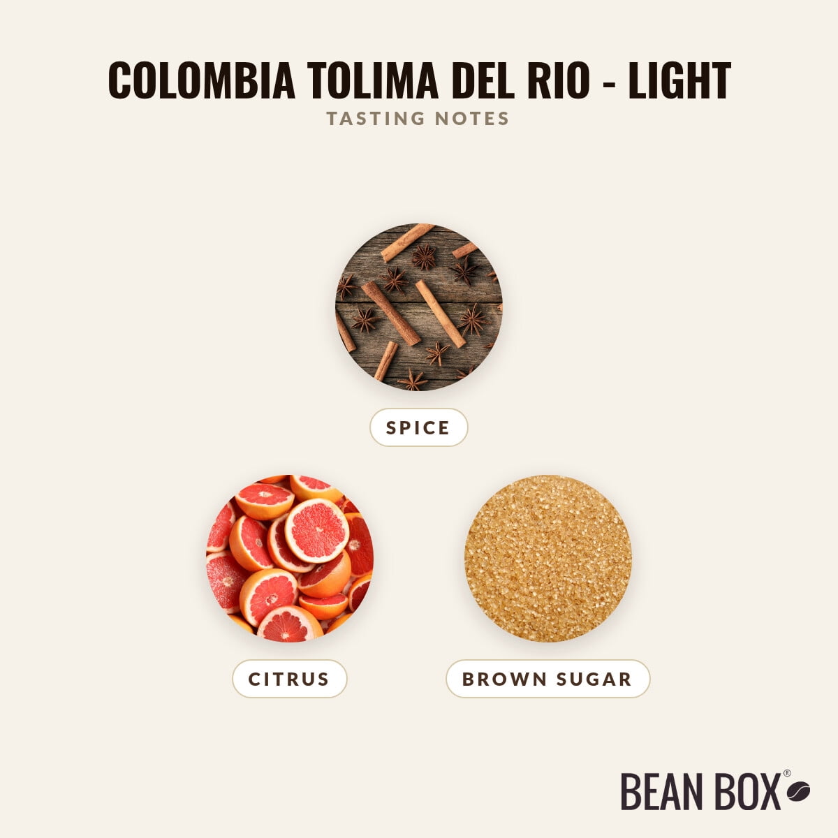 Colombia Tolima Del Rio - Light - Roasted by Amrita Certified Pure - Whole Bean Coffee - 2lb Bag