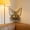 White, variant on Solid Wood Wall Mounted Shelf, Floating Storage Shelf for Display and Organization, Small Wall Shelf for Living Room Bedroom Kitchen Entryway, Black