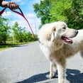 thumbnail image 4 of Joytale Dog Leash Heavy Duty for Large Dogs That Pull, Double Handle for Traffic Control, Double-Sided Reflective Leashes for Large Medium Dogs Night Safety, 6FT, Hot Pink, 4 of 7