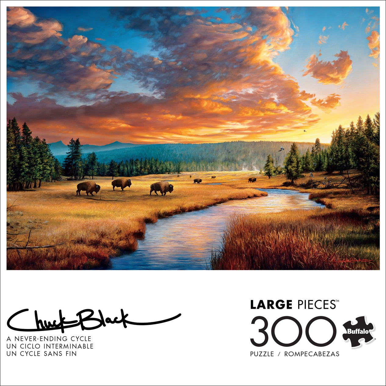 Buffalo Games 300-Piece A Never-ending Cycle Interlocking Jigsaw Puzzle for Adults Ages 14+