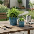 thumbnail image 4 of 6 Inch Ceramic Plant Pots with Drain Hole & Saucer, Ceramic Pots for Indoor Plants - Succulent, Snake Plant, Money Tree, Aloe Vera, 4 of 9