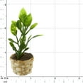 thumbnail image 2 of 12 Pack: Mini Potted Plant by Make Market, 2 of 2
