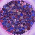 thumbnail image 1 of Ahgly Tapis de Zone Carré Transitionnel Lavable en Machine, 7 Pieds Carré, 1 of 7