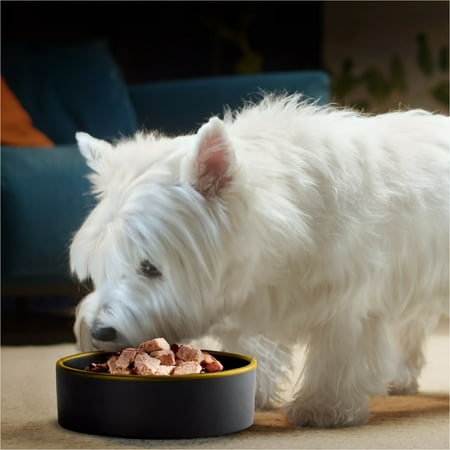 Cesar Classic Loaf In Sauce Wet Dog Food Variety Pack, 3.5 Oz Trays (36 Pack) - Image 9