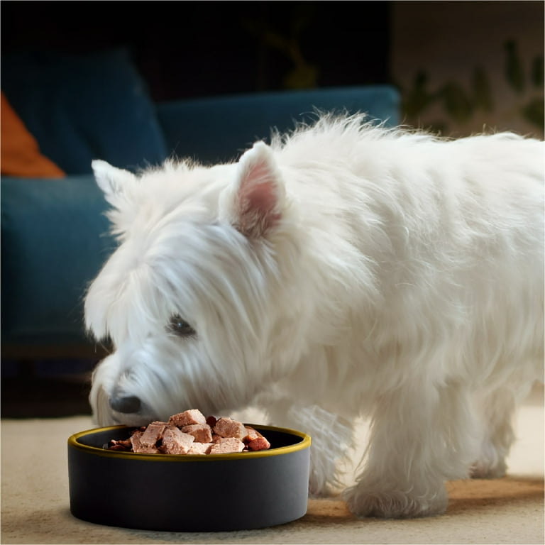 CESAR Classic Loaf Wet Dog Food, Smoked Bacon & Egg Flavor CESAR Classic Loaf Wet Dog Food, Smoked Bacon & Egg Flavor