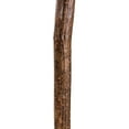 thumbnail image 5 of Brazos Knob Root Natural Hardwood Wood Walking Stick 37 Inch Height, 5 of 5