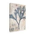 thumbnail image 2 of Trademark Fine Art 'Seaweed Arrangement III' Canvas Art by Vision Studio, 2 of 4