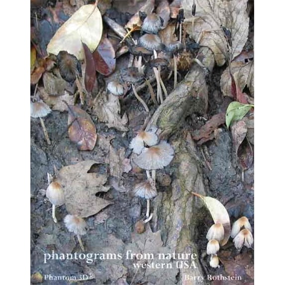 Pre-Owned Phantograms from Nature, Western USA (Spiral-bound) 0976949407 9780976949404