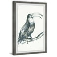 thumbnail image 2 of Parvez Taj Birds Framed Art Prints, 2 of 6