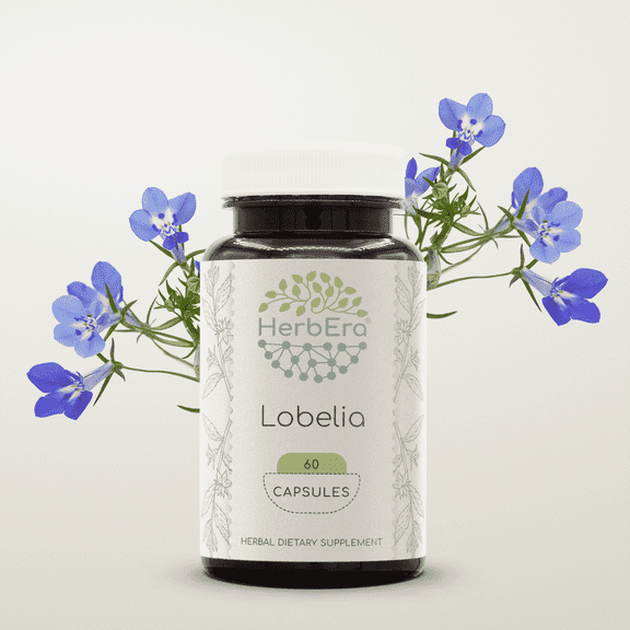 HerbEra Lobelia Capsules, Herbal Dietary Supplement for Respiratory Support, Lobelia (Lobelia Inflata) Dried Herb Capsules, Natural, 60 Capsules