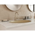 thumbnail image 3 of Pfister Lg42-Tnt2 Metal Gold Bathroom Faucet, 3 of 7