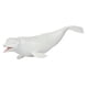 thumbnail image 4 of Modelo de ballena figura de ballena simulada modelo de ballena simulación de plástico de PVC ANGGREK Otros, 4 of 7